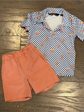 Ben Sherman Toddler Boys 18M Lobster Checkered Polo Shirt and Coral Shorts Set